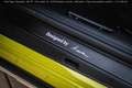 Porsche 992 DAKAR SONDERWUNSCH+PTS+NUMBER 992 Vert - thumbnail 11