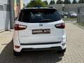 Ford EcoSport 1.0 EcoBoost ST-Line, Navi, Nieuwe Distributieriem Wit - thumbnail 5