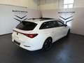 CUPRA Leon Sportstourer 1.5 Hybrid 150 CV DSG Bianco - thumbnail 6