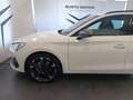 CUPRA Leon Sportstourer 1.5 Hybrid 150 CV DSG Bianco - thumbnail 7
