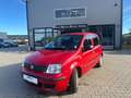 Fiat Panda 1.2 8V Classic, TÜV & Service NEU Rot - thumbnail 2