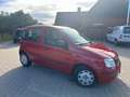 Fiat Panda 1.2 8V Classic, TÜV & Service NEU Rot - thumbnail 1