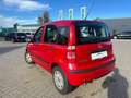 Fiat Panda 1.2 8V Classic, TÜV & Service NEU Rot - thumbnail 4