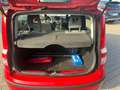 Fiat Panda 1.2 8V Classic, TÜV & Service NEU Rot - thumbnail 5