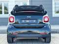 smart forTwo Cabrio /KAMERA/TEMPOMAT/SITZ-H/NAVI/JBL Zwart - thumbnail 10