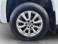 Volkswagen Amarok Comfortline_DoubleCab_Hardtop Anhängerkupplung Blanc - thumbnail 15