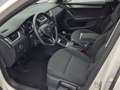 Skoda Octavia Combi 1,6 TDI Style Limited *ACC*NAVI*PDC*AHK* Weiß - thumbnail 4