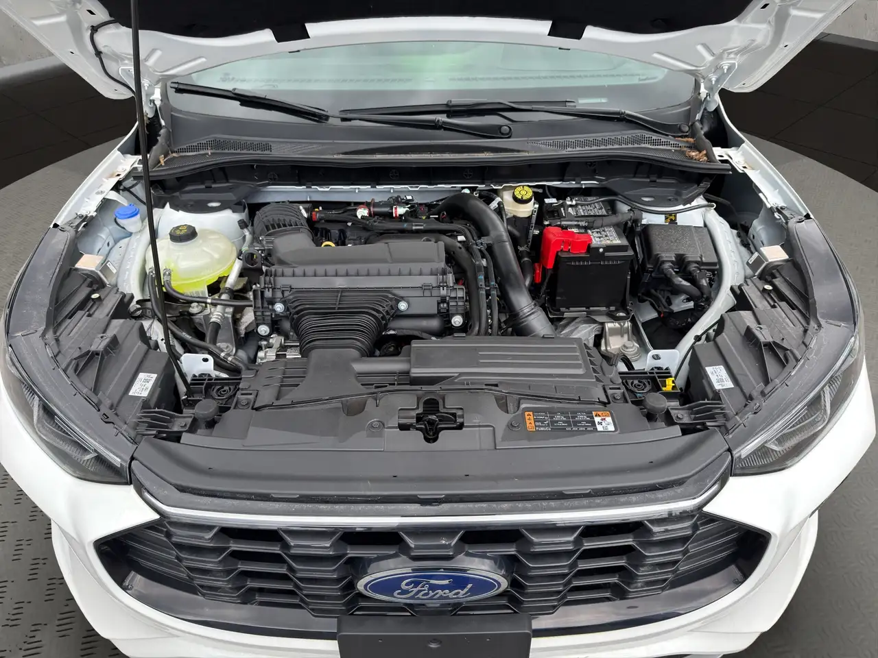 Ford Escape снимка Ford Escape