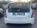 Lancia Ypsilon Ypsilon 1.2 8v Platinum s Blanc - thumbnail 5