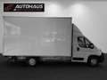 Fiat Ducato Ducato Maxi 2,3d | 1.BESITZ | LADEBORDWAND | KO... Weiß - thumbnail 5