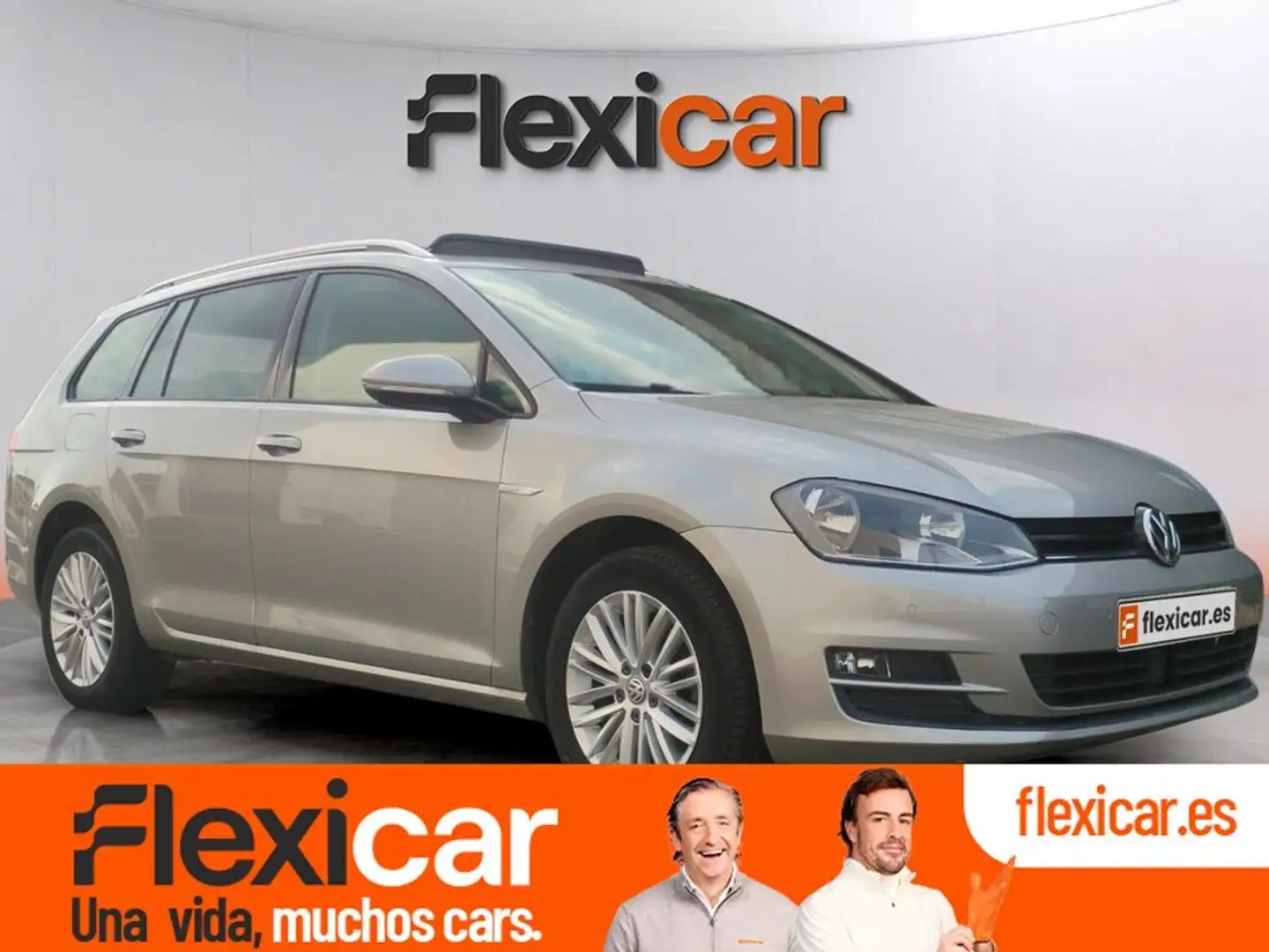 Volkswagen Golf Variant Advance 1.6 TDI 110CV BMT Grigio - 1