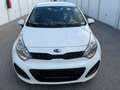 Kia Rio 1,2 CVVT Cool - thumbnail 2