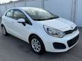 Kia Rio 1,2 CVVT Cool - thumbnail 8