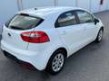 Kia Rio 1,2 CVVT Cool - thumbnail 6