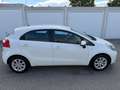 Kia Rio 1,2 CVVT Cool - thumbnail 7