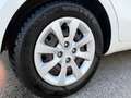 Kia Rio 1,2 CVVT Cool - thumbnail 19