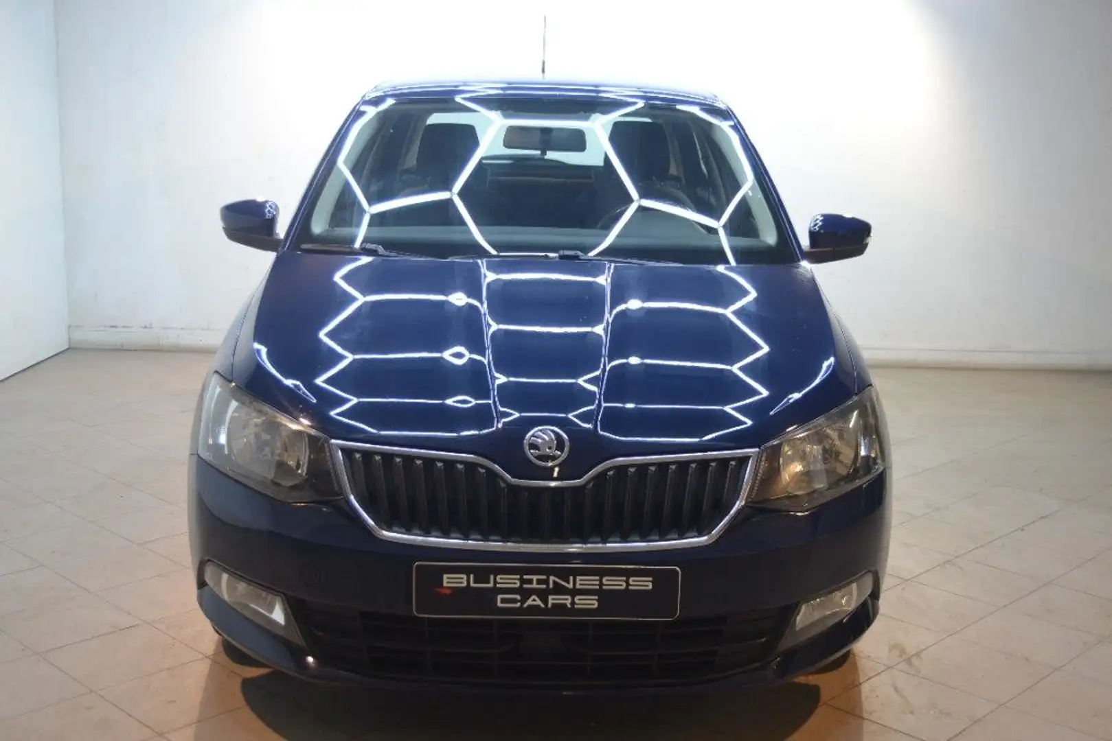 Skoda Fabia 1.4 TDI 90 CV Business Blu/Azzurro - 2