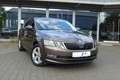 Skoda Octavia Lim. Aut. TSI AHK Navi App PDC Braun - thumbnail 1