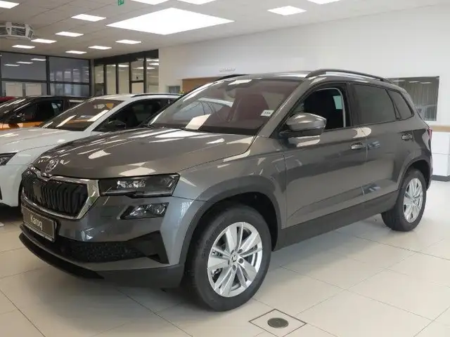 Skoda Karoq main image