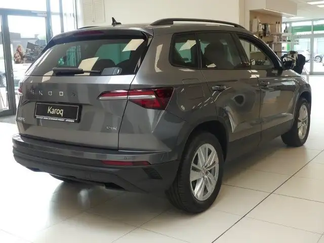 Skoda Karoq view 4