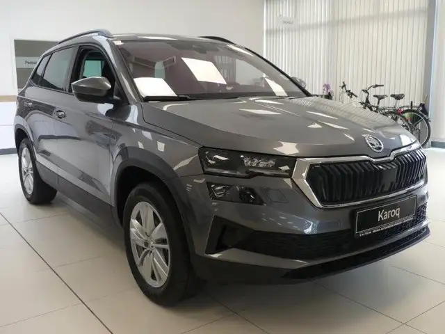 Skoda Karoq view 5