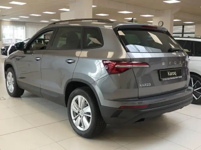 Skoda Karoq view 3