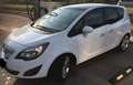 Opel Meriva 1.7 cdti Cosmo Panoramic b-Color 110cv Bianco - thumbnail 1