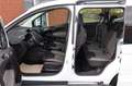 Ford Tourneo Courier 1.0 EcoBoost Trend 5-Sitzer 1.HD Weiß - thumbnail 13