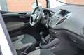 Ford Tourneo Courier 1.0 EcoBoost Trend 5-Sitzer 1.HD Weiß - thumbnail 10