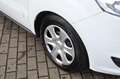 Ford Tourneo Courier 1.0 EcoBoost Trend 5-Sitzer 1.HD Weiß - thumbnail 5