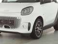 smart forTwo EQ Prime Exclusive 22kW LED Kamera Weiß - thumbnail 4