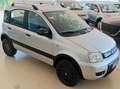 Fiat Panda 1.2 Climbing 4x4 Gris - thumbnail 3