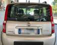 Fiat Panda 1.2 Climbing 4x4 Grigio - thumbnail 5