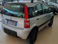 Fiat Panda 1.2 Climbing 4x4 Gris - thumbnail 4