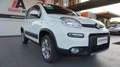 Fiat Panda 1.3 MJT S&S 4x4 Bianco - thumbnail 10