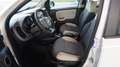 Fiat Panda 1.3 MJT S&S 4x4 Bianco - thumbnail 13