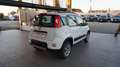 Fiat Panda 1.3 MJT S&S 4x4 Bianco - thumbnail 5