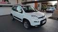 Fiat Panda 1.3 MJT S&S 4x4 Bianco - thumbnail 7