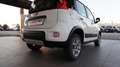 Fiat Panda 1.3 MJT S&S 4x4 Bianco - thumbnail 12