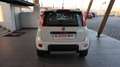 Fiat Panda 1.3 MJT S&S 4x4 Bianco - thumbnail 4