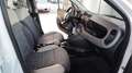 Fiat Panda 1.3 MJT S&S 4x4 Bianco - thumbnail 29