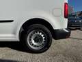 Volkswagen Caddy MAXI Kastenwagen Entry 2,0 TDI Weiß - thumbnail 7