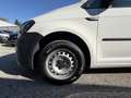 Volkswagen Caddy MAXI Kastenwagen Entry 2,0 TDI Weiß - thumbnail 6