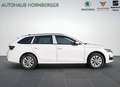 Skoda Octavia 2.0 TDI 150PS Selection Combi AHK LED Tempomat PDC Weiß - thumbnail 6