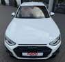 Audi A4 Avant 45 TDI quattro 3x S line/Matrix/Virtual Weiß - thumbnail 5