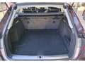 Audi A4 allroad QUATTRO unlimited 3.0 TDI 160kW quattro S tronic - thumbnail 20