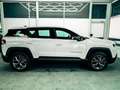 Jeep Compass ALTITUDE DCT PANO 360 KAMERA SHZ HUD FOCAL BSD ... Weiß - thumbnail 4