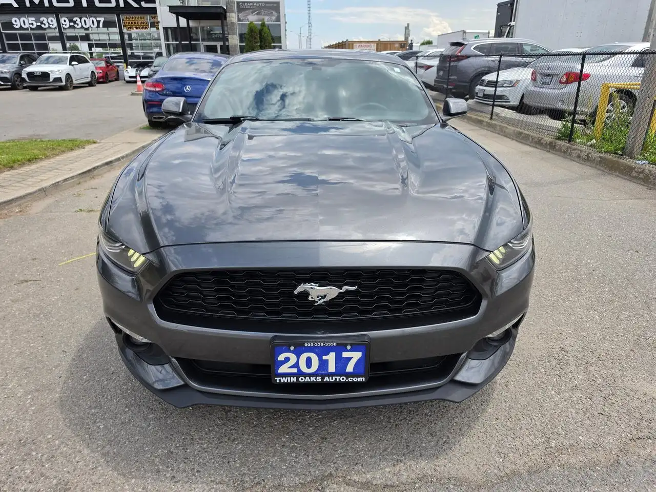Ford Mustang photo Ford Mustang