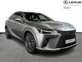 Lexus RX 350 Executive Line AWD Grau - thumbnail 18