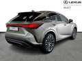 Lexus RX 350 Executive Line AWD Grau - thumbnail 17